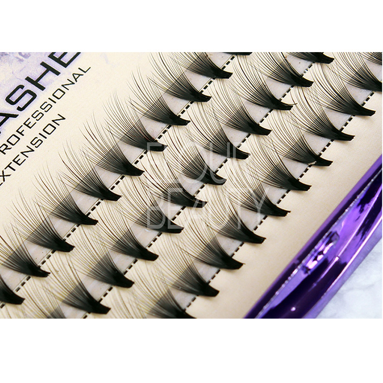High quality cluster eyelash extensions private label wholesale ED23